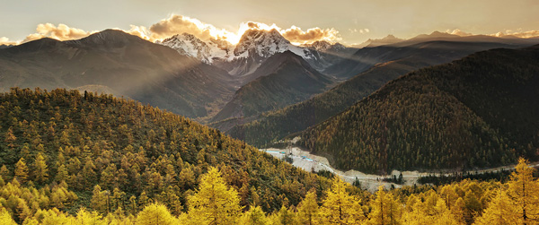 Landscape Landscape