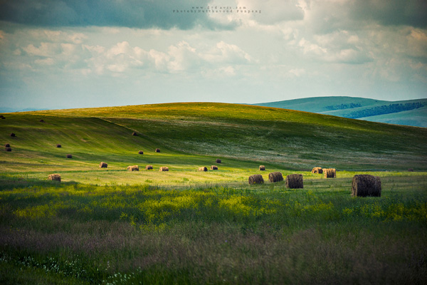 Landscape Landscape