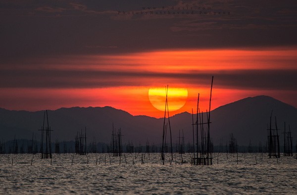 Landscape Landscape