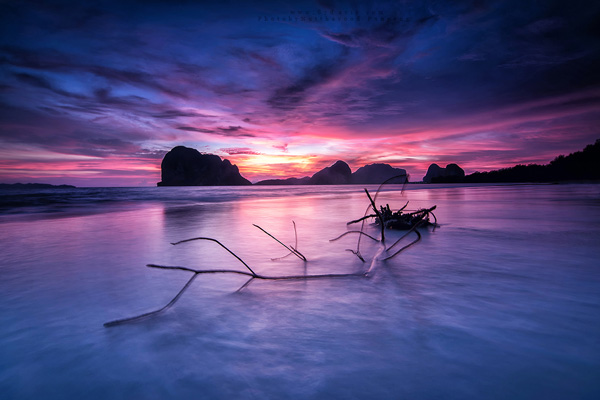 Landscape Landscape