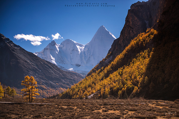 Landscape Landscape