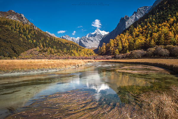 Landscape Landscape