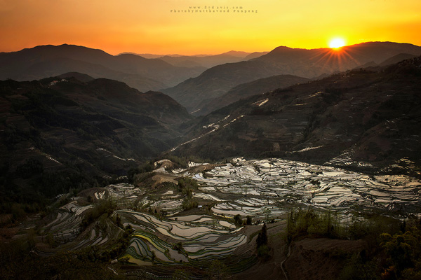 Landscape Landscape