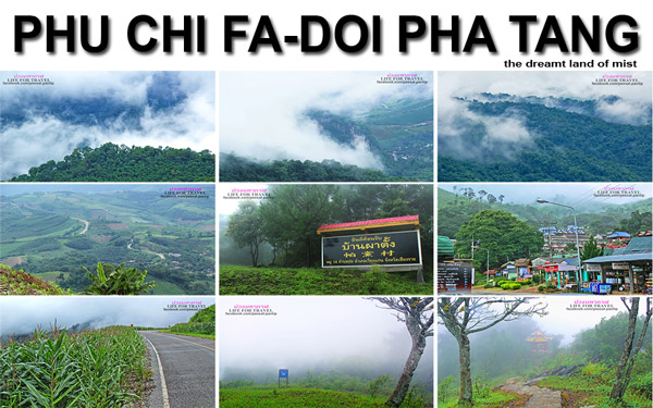 ภูชี้ฟ้า-ดอยผาตั้ง