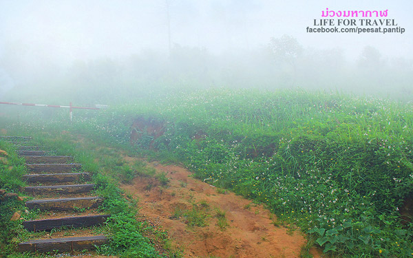 ภูชี้ฟ้า-ดอยผาตั้ง