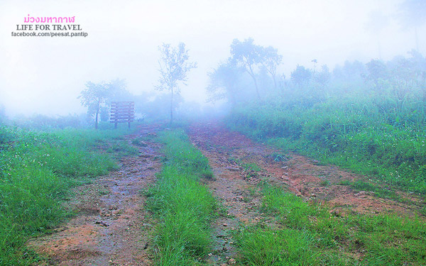 ภูชี้ฟ้า-ดอยผาตั้ง