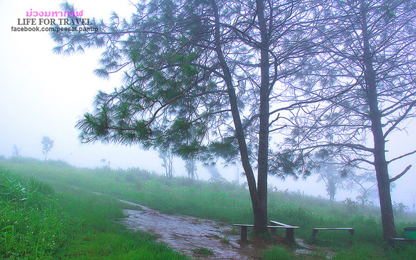 ภูชี้ฟ้า-ดอยผาตั้ง