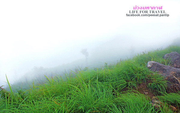 ภูชี้ฟ้า-ดอยผาตั้ง