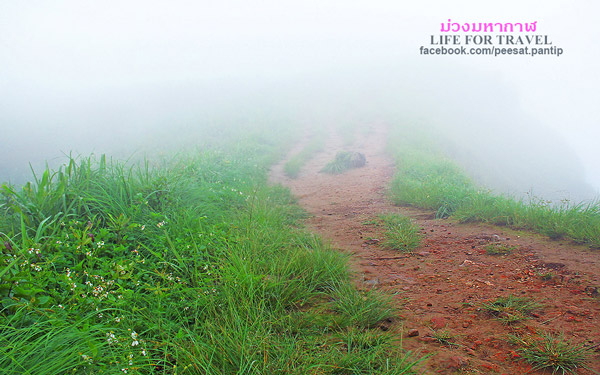 ภูชี้ฟ้า-ดอยผาตั้ง