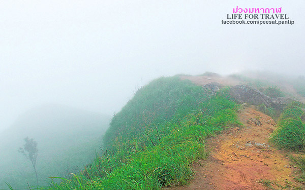 ภูชี้ฟ้า-ดอยผาตั้ง