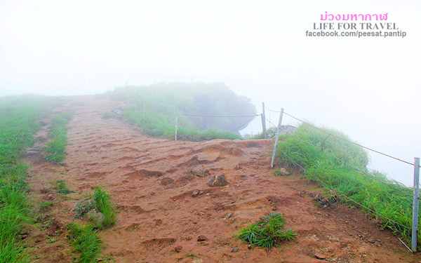 ภูชี้ฟ้า-ดอยผาตั้ง