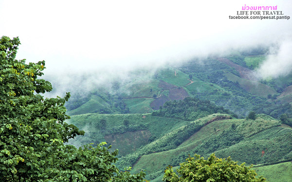 ภูชี้ฟ้า-ดอยผาตั้ง