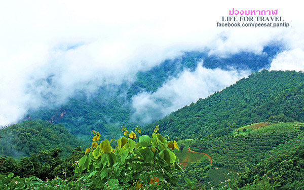 ภูชี้ฟ้า-ดอยผาตั้ง