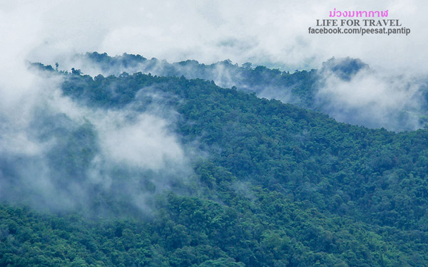 ภูชี้ฟ้า-ดอยผาตั้ง