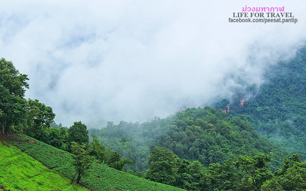 ภูชี้ฟ้า-ดอยผาตั้ง