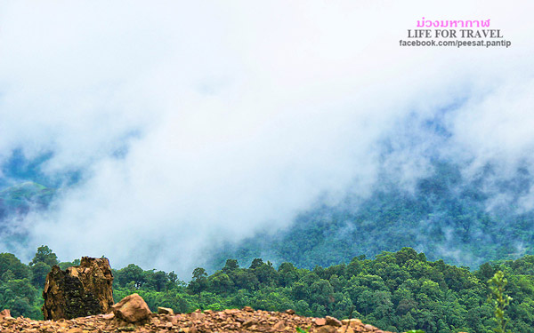 ภูชี้ฟ้า-ดอยผาตั้ง