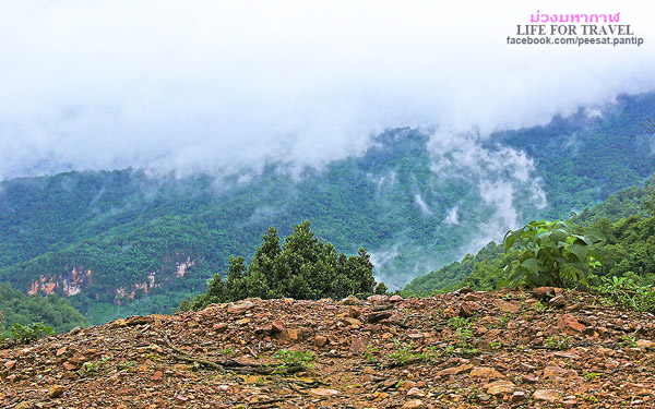 ภูชี้ฟ้า-ดอยผาตั้ง