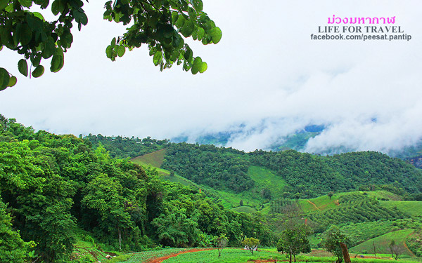 ภูชี้ฟ้า-ดอยผาตั้ง