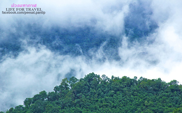 ภูชี้ฟ้า-ดอยผาตั้ง