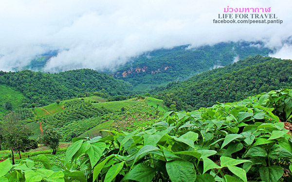 ภูชี้ฟ้า-ดอยผาตั้ง