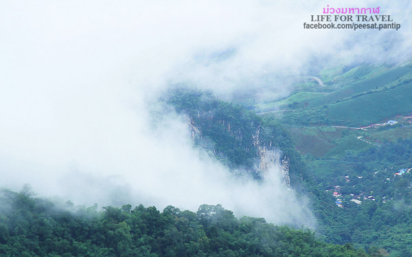 ภูชี้ฟ้า-ดอยผาตั้ง