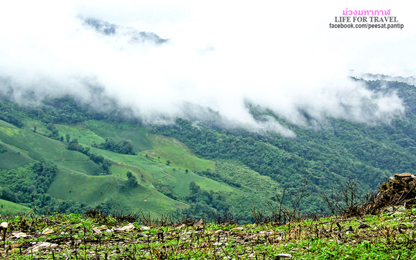 ภูชี้ฟ้า-ดอยผาตั้ง