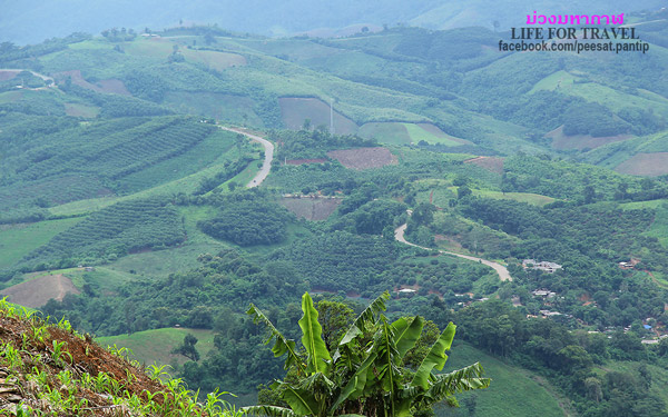 ภูชี้ฟ้า-ดอยผาตั้ง