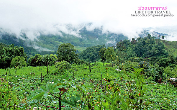 ภูชี้ฟ้า-ดอยผาตั้ง