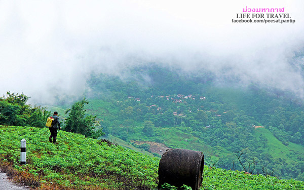 ภูชี้ฟ้า-ดอยผาตั้ง