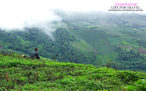 ภูชี้ฟ้า-ดอยผาตั้ง