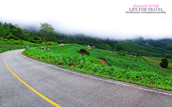 ภูชี้ฟ้า-ดอยผาตั้ง