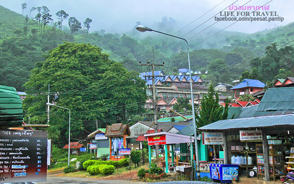 ภูชี้ฟ้า-ดอยผาตั้ง