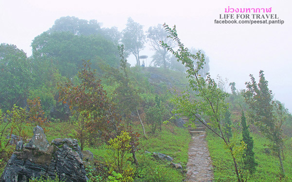 ภูชี้ฟ้า-ดอยผาตั้ง