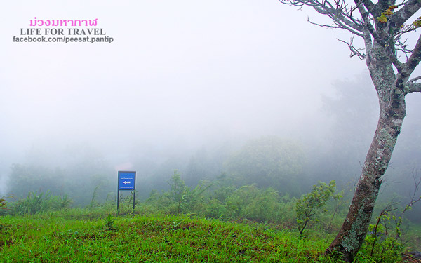 ภูชี้ฟ้า-ดอยผาตั้ง