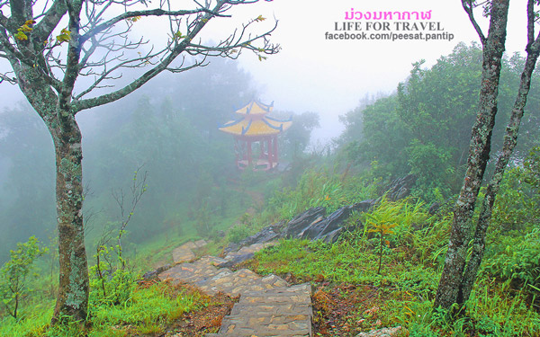 ภูชี้ฟ้า-ดอยผาตั้ง