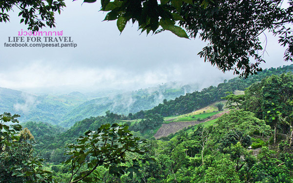 ภูชี้ฟ้า-ดอยผาตั้ง