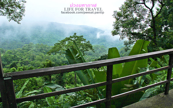 ภูชี้ฟ้า-ดอยผาตั้ง