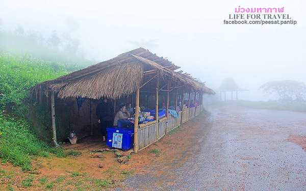 ภูชี้ฟ้า-ดอยผาตั้ง