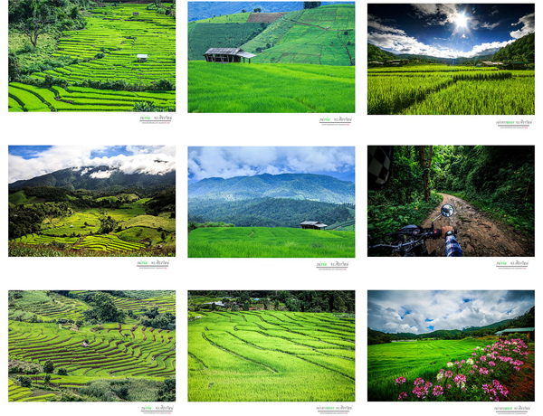 นาขั้นบันได