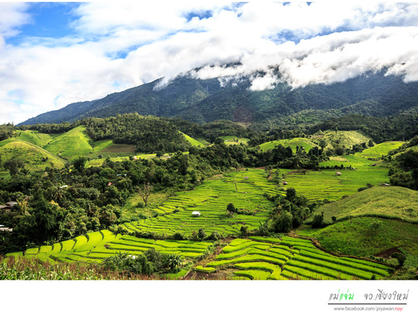 นาขั้นบันได