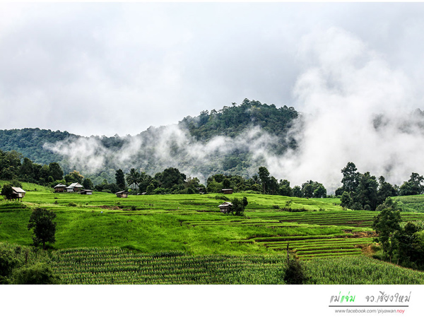 นาขั้นบันได