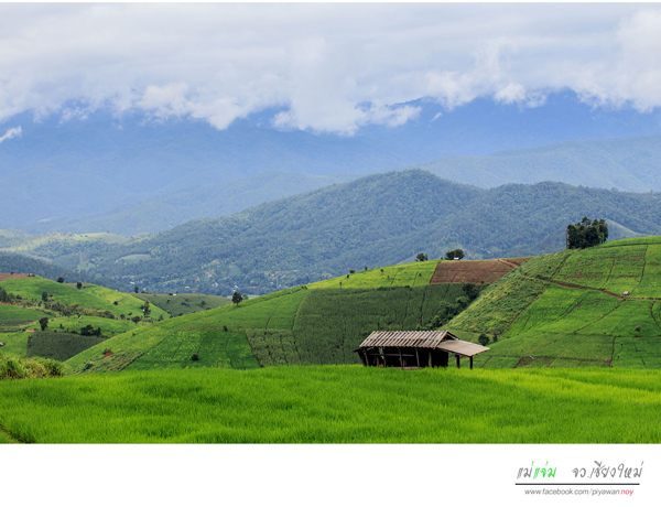 นาขั้นบันได