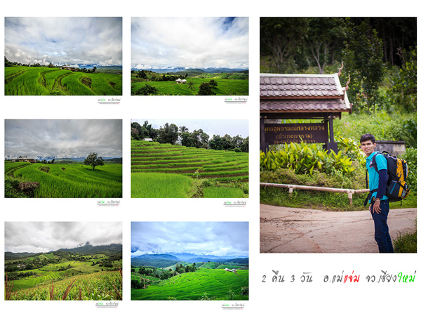 นาขั้นบันได