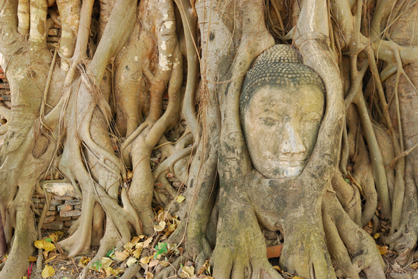 เที่ยวอยุธยา เรียนรู้ 9 วัด ที่มีประวัติศาสตร์ยาวนาน