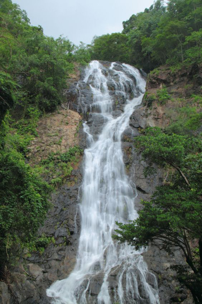 น้ำตก