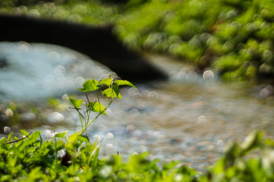 กาญจนบุรี