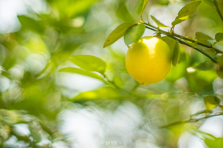 กาญจนบุรี