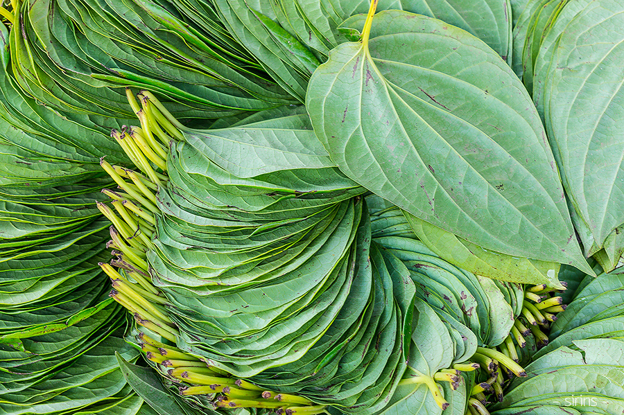 กาญจนบุรี