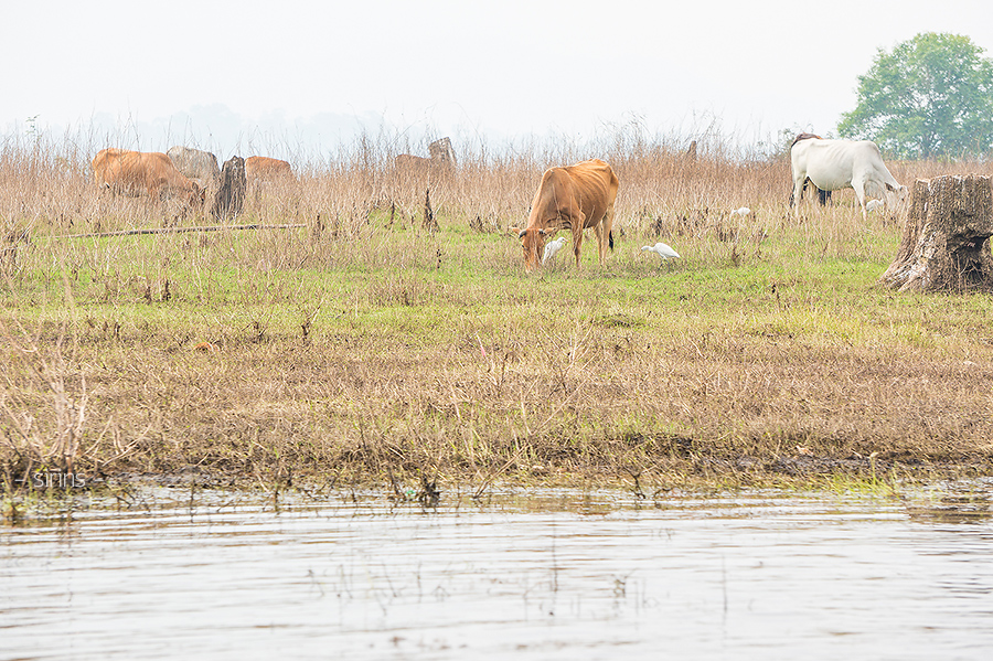 กาญจนบุรี