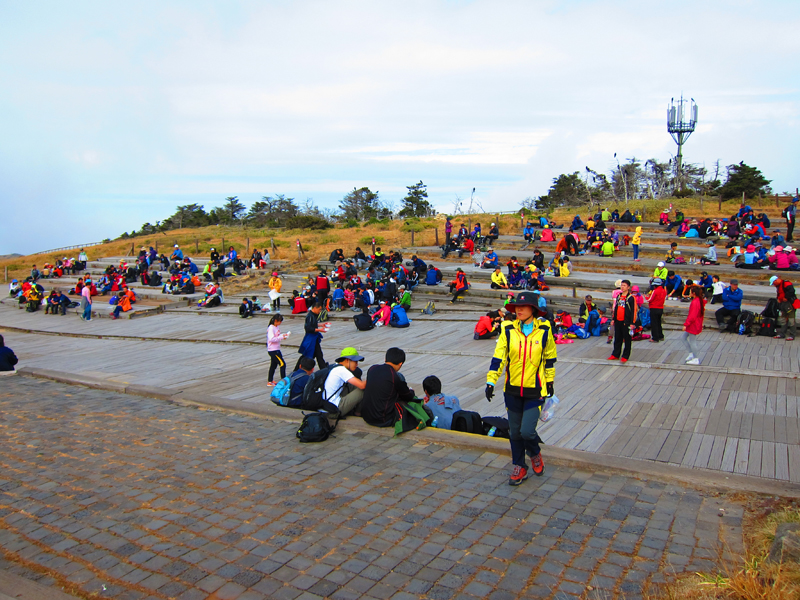 เดินขึ้นเขาฮัลลาซาน ณ เกาะเชจู ชื่นชมธรรมชาติสองข้างทาง